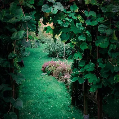 Poziomkowy Zakatek *