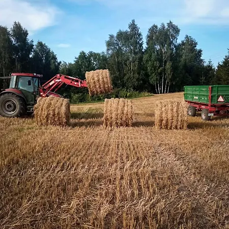 Poziomkowy Zakatek Miechucino