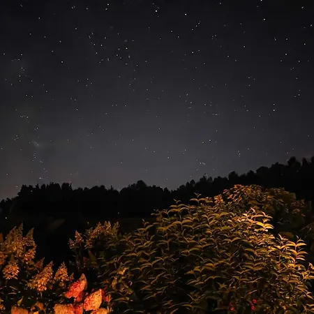 Poziomkowy Zakatek Vakantiehuis *