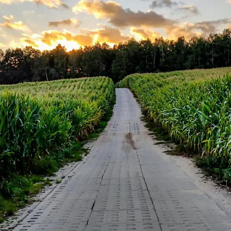Poziomkowy Zakatek Vakantiehuis Miechucino