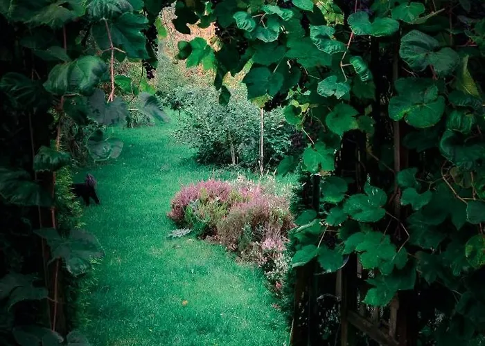 Poziomkowy Zakatek *