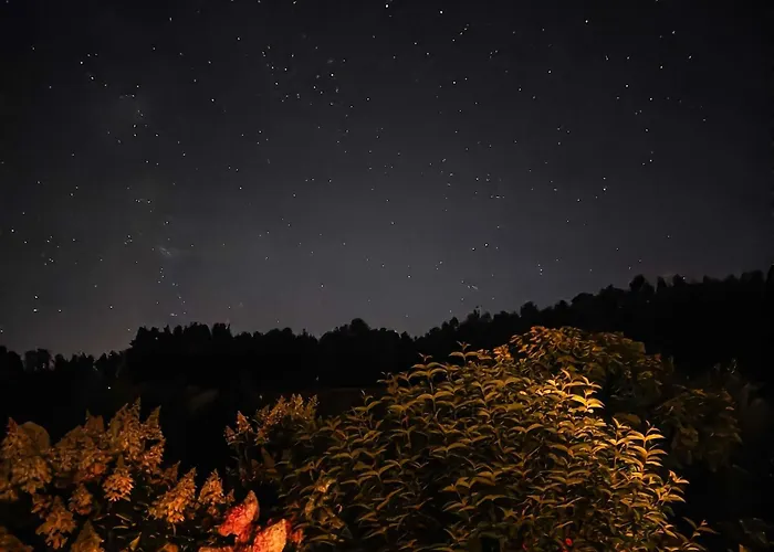 Poziomkowy Zakatek 度假居 *