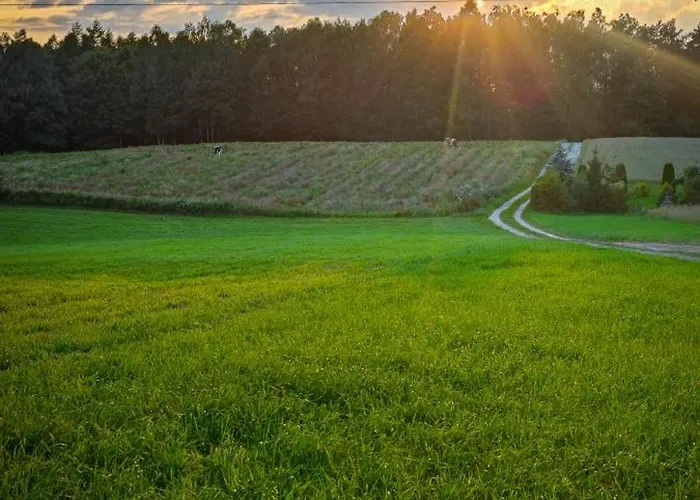 度假居 Poziomkowy Zakatek *