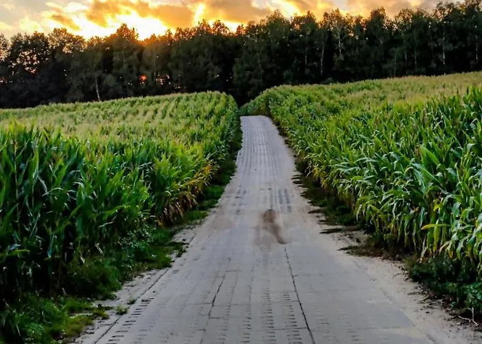 Poziomkowy Zakatek 度假居 Miechucino