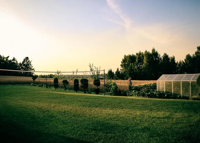 Poziomkowy Zakatek Miechucino