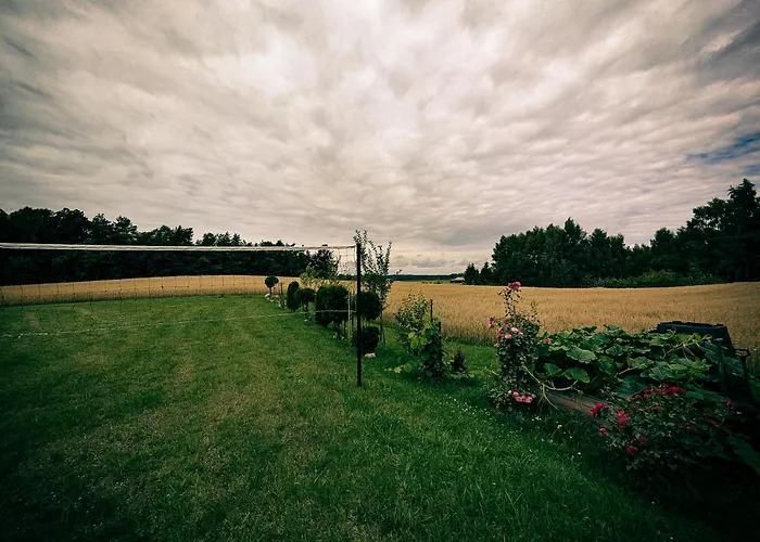 Poziomkowy Zakatek *