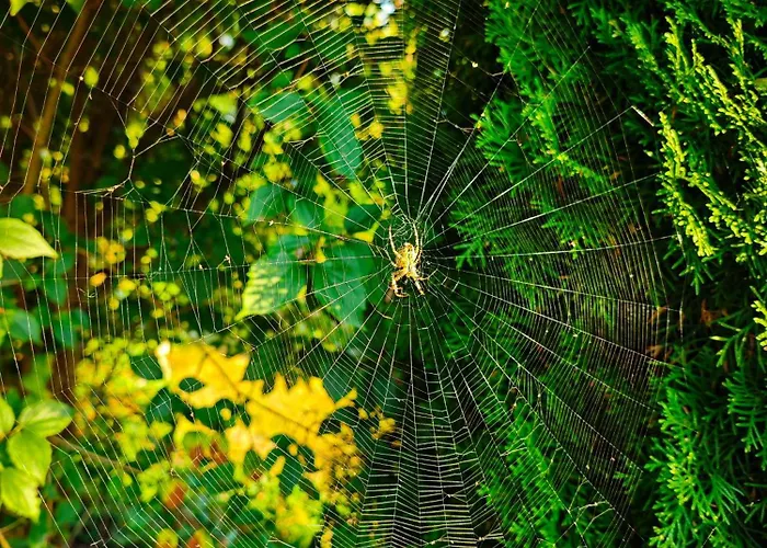 Poziomkowy Zakatek 度假居 Miechucino